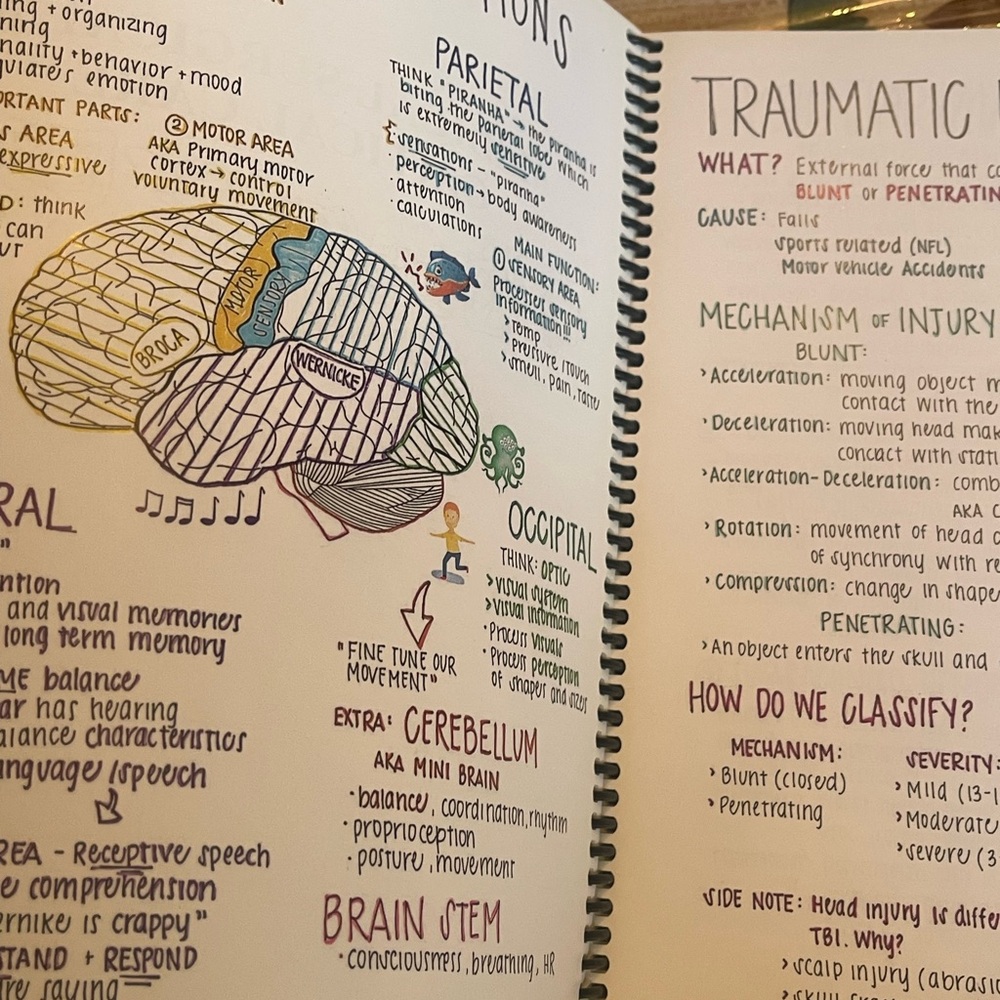 Nursing School Comprehensive Bundle Book. Price is Firm, no offer. - Picture 2 of 5